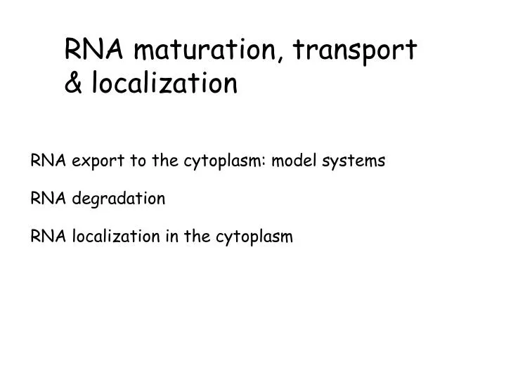 rna export to the cytoplasm model systems