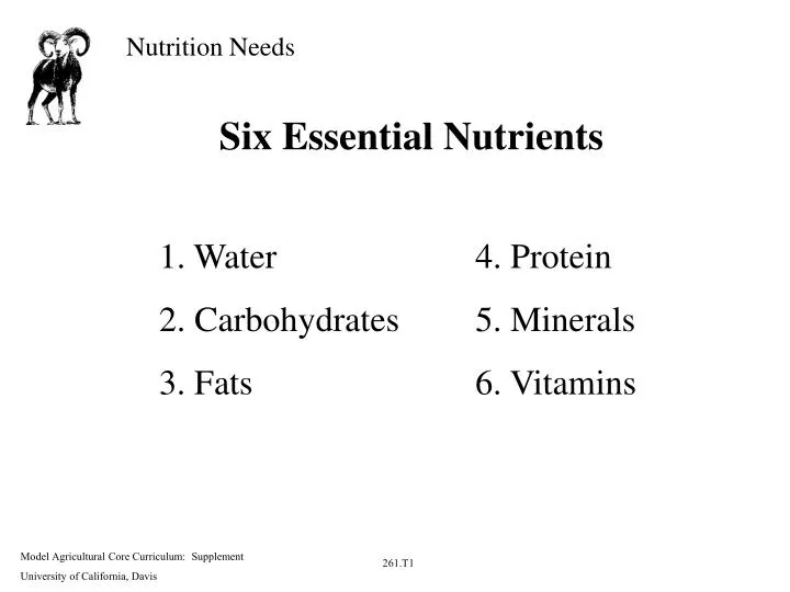 six essential nutrients