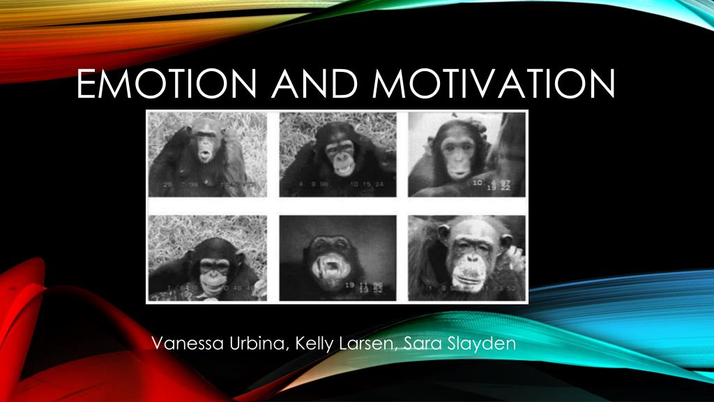 PPT - Emotion and Motivation PowerPoint Presentation, free download ...
