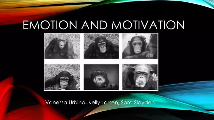 emotion and motivation