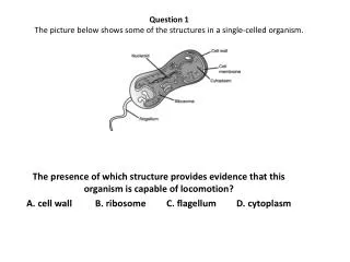 Question 1 The picture below shows some of the structures in a single-celled organism.