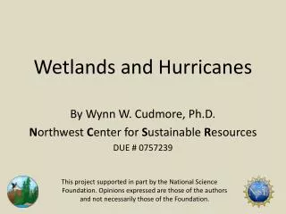 Wetlands and Hurricanes