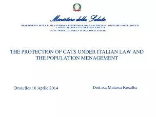 THE PROTECTION OF CATS UNDER ITALIAN LAW AND THE POPULATION MENAGEMENT