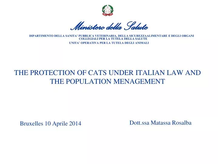 the protection of cats under italian law and the population menagement