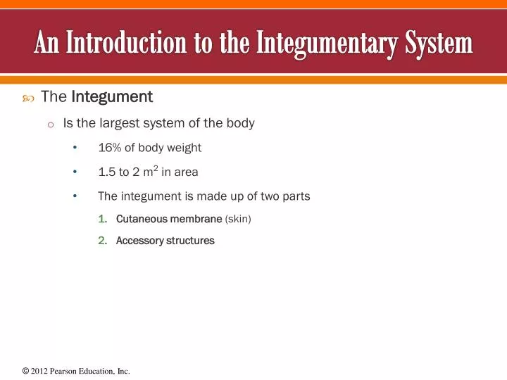an introduction to the integumentary system