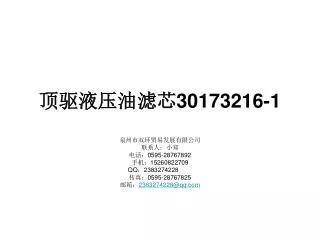 30173216 1