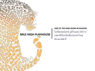 one of the kind show in khaoyai 2557
