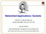 Understanding Socket Programming in Computer Networks - slide 1