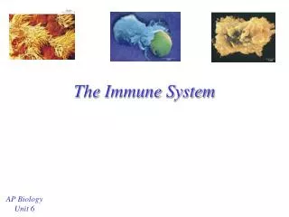 The Immune System