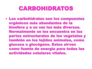 carbohidratos