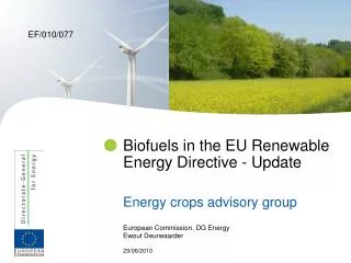 Biofuels in the EU Renewable Energy Directive - Update