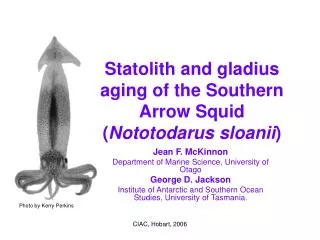 Statolith and gladius aging of the Southern Arrow Squid ( Nototodarus sloanii )
