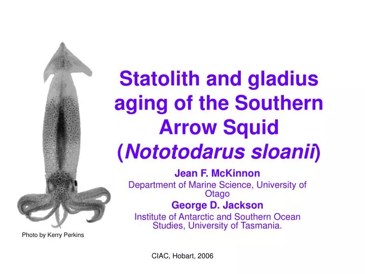 statolith and gladius aging of the southern arrow squid nototodarus sloanii