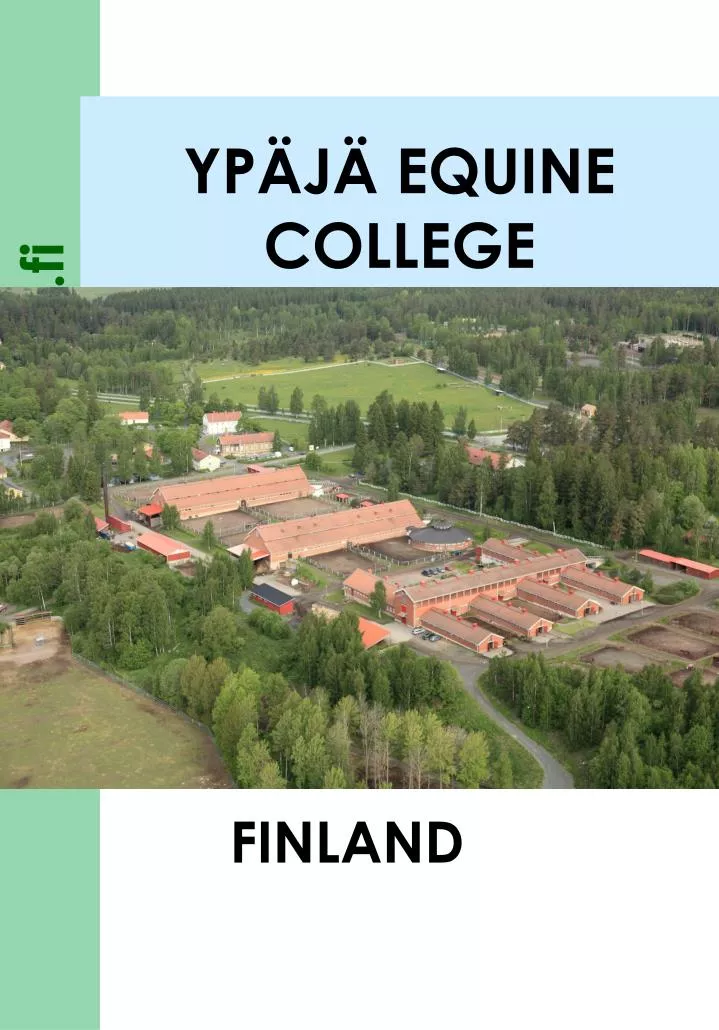 yp j equine college