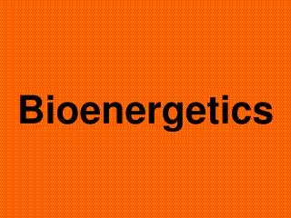 bioenergetics