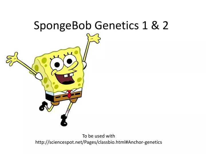 spongebob genetics 1 2