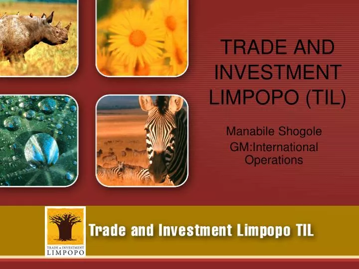 trade and investment limpopo til