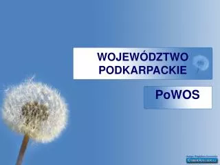 wojew dztwo podkarpackie