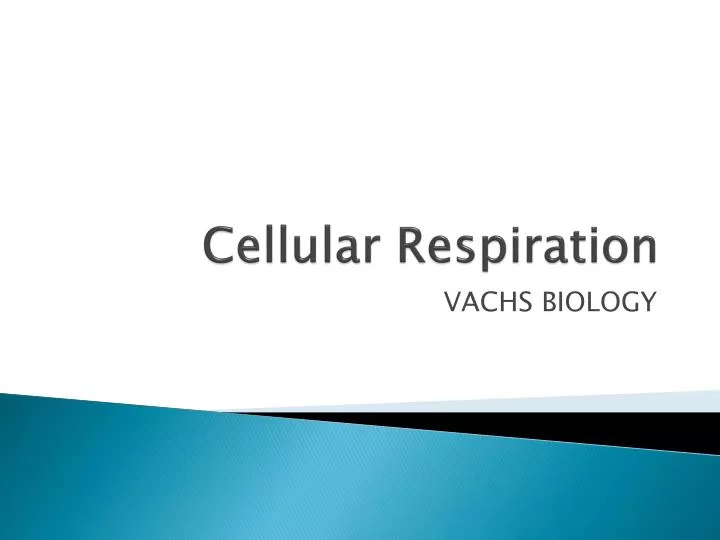 cellular respiration