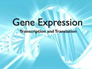 Gene Expression