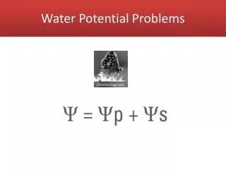 Water Potential Problems