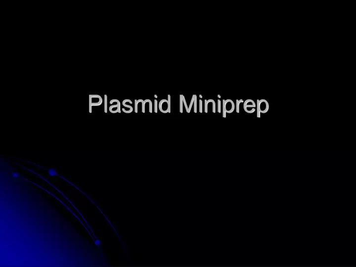 plasmid miniprep