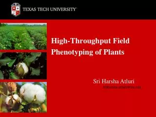 High-Throughput Field Phenotyping of Plants