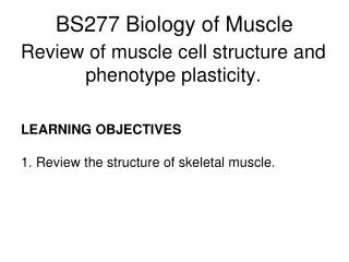 Review of muscle cell structure and phenotype plasticity.