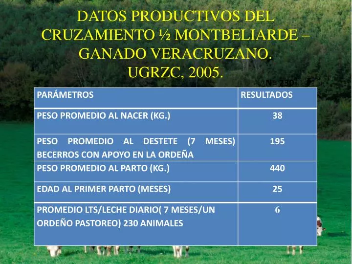 datos productivos del cruzamiento montbeliarde ganado veracruzano ugrzc 2005