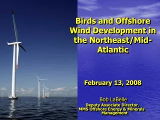 Birds and Offshore Wind Development in the Northeast/Mid-Atlantic February 13, 2008