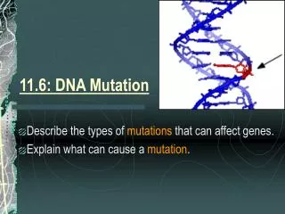 11.6: DNA Mutation