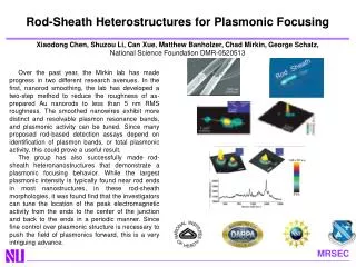 Rod-Sheath Heterostructures for Plasmonic Focusing