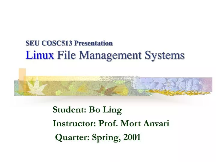seu cosc513 presentation linux file management systems
