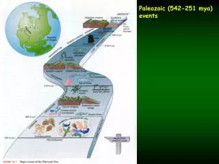 Paleozoic (542-251 mya) events