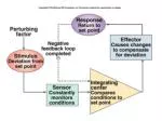 Osmoregulation - slide 1