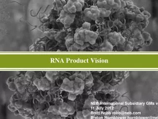 RNA Product Vision