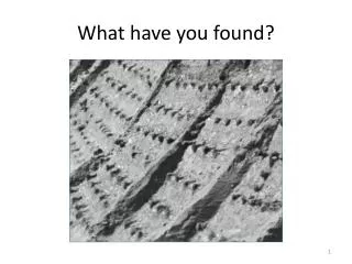What have you found?