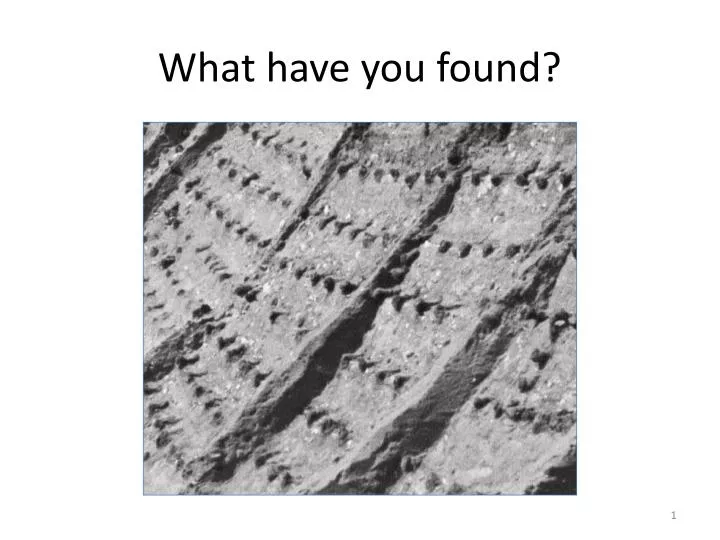 what have you found