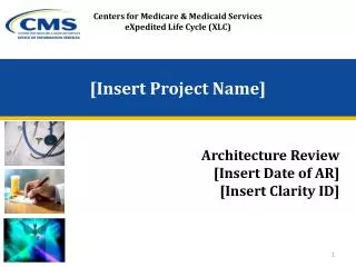 [Insert Project Name]