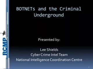 BOTNETs and the Criminal Underground