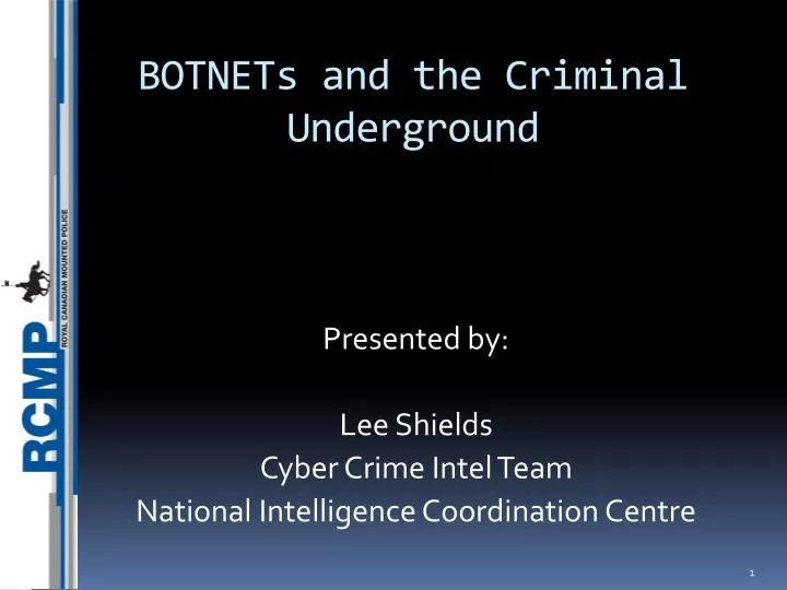 botnets and the criminal underground