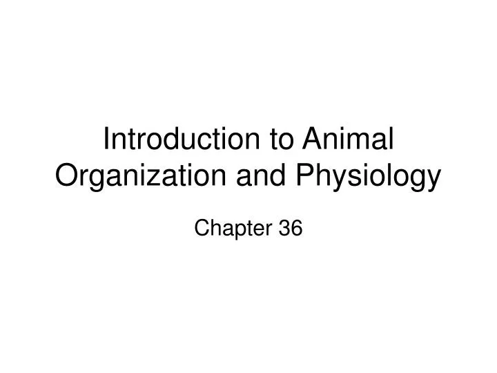 introduction to animal organization and physiology