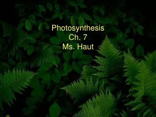 Photosynthesis Ch. 7 Ms. Haut