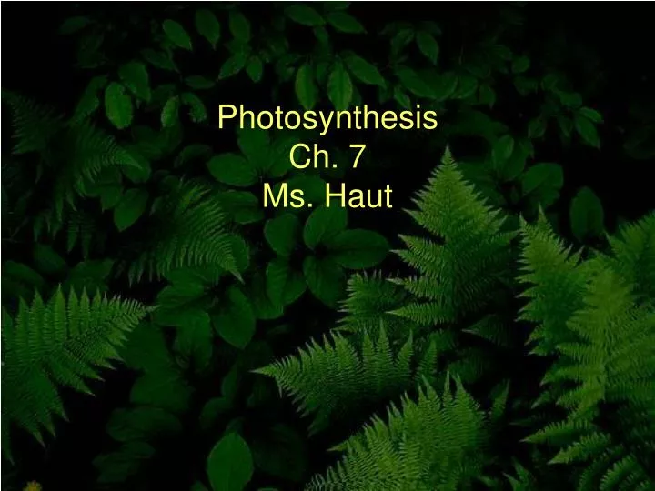 photosynthesis ch 7 ms haut