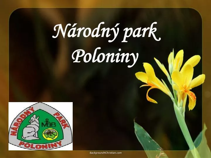 n rodn park poloniny