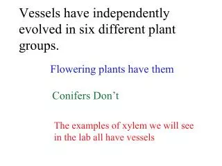 Vessels have independently evolved in six different plant groups.