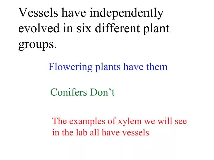vessels have independently evolved in six different plant groups