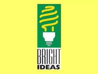 Bright Ideas Grant Program