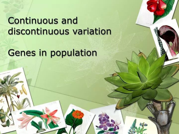 continuous and discontinuous variation genes in population