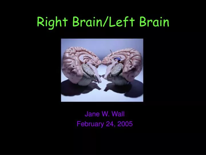 right brain left brain